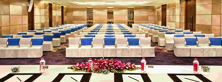 648/Holiday Inn New Delhi Mayur Vihar - New Delhi 06.jpg